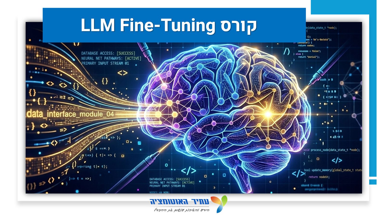 LLM Fine-Tuning